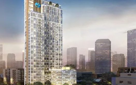 Siamese Exclusive 42