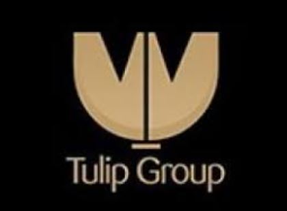 Tulip Group