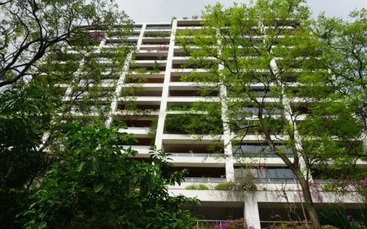Polo Park