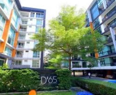 D 65