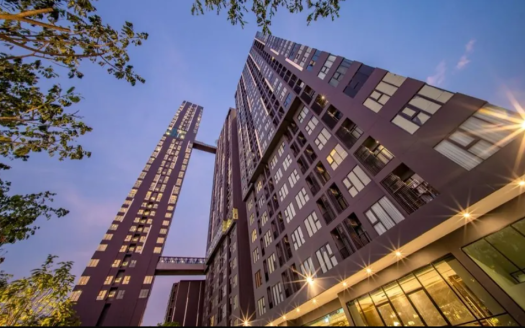 Modiz Sukhumvit 50