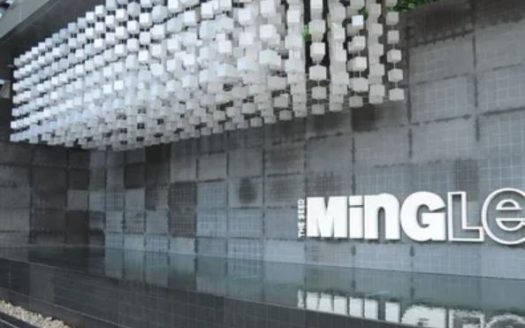 The Seed Mingle