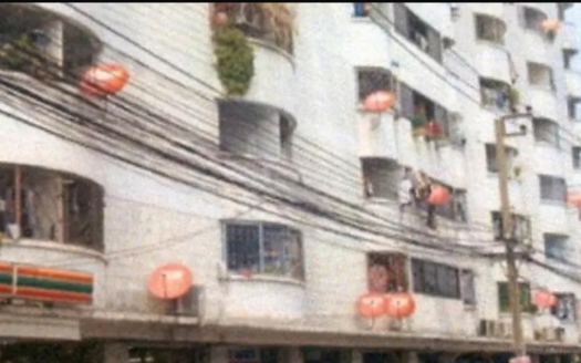 Chao Phraya River Condominium Bang Chak 2